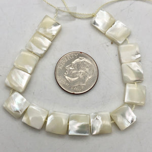 Perfection Mother of Pearl 8x8x3mm Bead Strand - PremiumBead Alternate Image 8