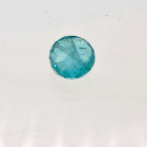 Glistening 2 Aqua Green Apatite Faceted 5 to 6mm Coin Beads 3930A - PremiumBead Alternate Image 8