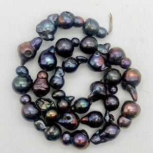 Magnificent!! 2 one of a kind Black Peacock Fireball FW Pearl - PremiumBead Alternate Image 12