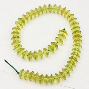 Amber Faceted Roundel Beads | 8x4mm | Green | 10 Bead(s)