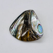 Load image into Gallery viewer, Abalone Hinge Shell | 33x37x10mm | Silver Pink | 1 Pendant Bead |
