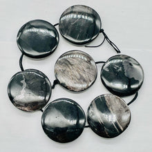 Load image into Gallery viewer, Silver Mirrors Hypersthene 29x7mm Disc Pendant Beads | 2 Beads |
