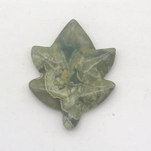 Rhyolite/Rainforest Jasper Leaf | 38x30x5mm to 32x25x4mm | Green Tan | 2 Beads