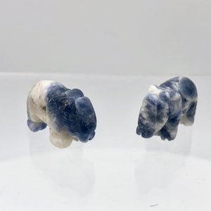Wild 2 Hand Carved Sodalite Elephant Beads | 22.5x21x10mm | Blue white - PremiumBead Primary Image 1