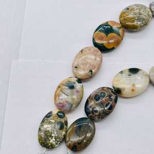 Ocean Jasper Graduated Oval | 27x21 to 22x16x8 mm | Multi-color | 17 Beads