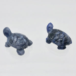 Adorable Sodalite Carved Turtle Figurine/Worry Stone | 20x12.5x8mm | Blue White - PremiumBead Alternate Image 6