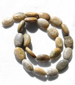 Fossilized Coral Oval Focal Bead Strand 108970 - PremiumBead Primary Image 1