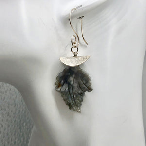 Ocean Jasper Sterling Silver Leaf Earrings | 2" Long | Seafoam Green | 1 Pair |