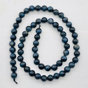 Tigers Eye 15 1/2" Strand Round | 7 mm | Blue | 62 Beads |