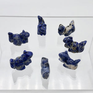 Nuts 2 Hand Carved Animal Sodalite Squirrel Beads | 22x15x10mm | Blue - PremiumBead Alternate Image 10