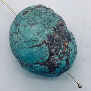 Genuine Natural Turquoise Nugget Focus or MasterBead|49cts|26x21x16| Blue Brown|