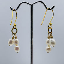 Load image into Gallery viewer, Stunning Faceted White Pearls with 14Kgf Earrings 300650
