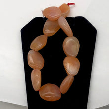 Load image into Gallery viewer, Chalcedony Oval Carved Stone | 18x13x7 to 15x12x7 | Orange Pink | 12 Bead(s)
