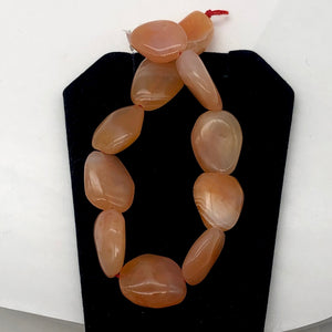 Chalcedony Oval Carved Stone | 18x13x7 to 15x12x7 | Orange Pink | 12 Bead(s)