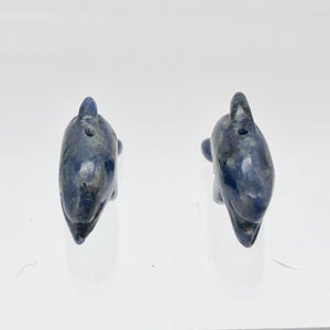 Unique 2 Carved Sodalite Jumping Dolphin Beads | 25x11x8mm | Blue white - PremiumBead Alternate Image 6