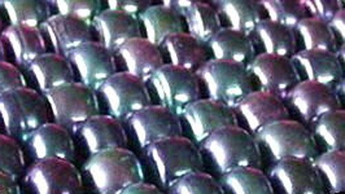 Seventeen Fantastic 8-7x5mm Rainbow Circle FW Pearls 003106 - PremiumBead Primary Image 1