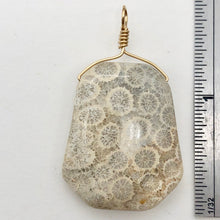 Load image into Gallery viewer, Fossilized Coral Sterling Silver Wire Wrap Pendant Pre-Cambrian Era | 2 5/8&quot; |
