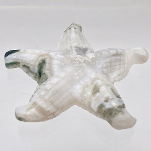 Tree Agate Carved Starfish Pendant Bead - PremiumBead Alternate Image 5