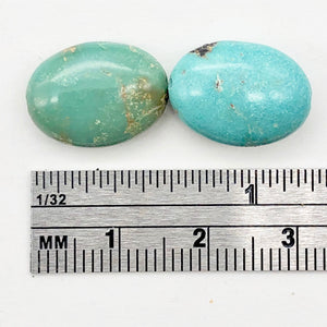 1 Natural Turquoise 16x12mm Oval Pendant Bead 4525