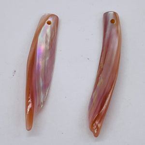 Designer Blade Cut Pink Mussel Shell Pendant Bead 4423D