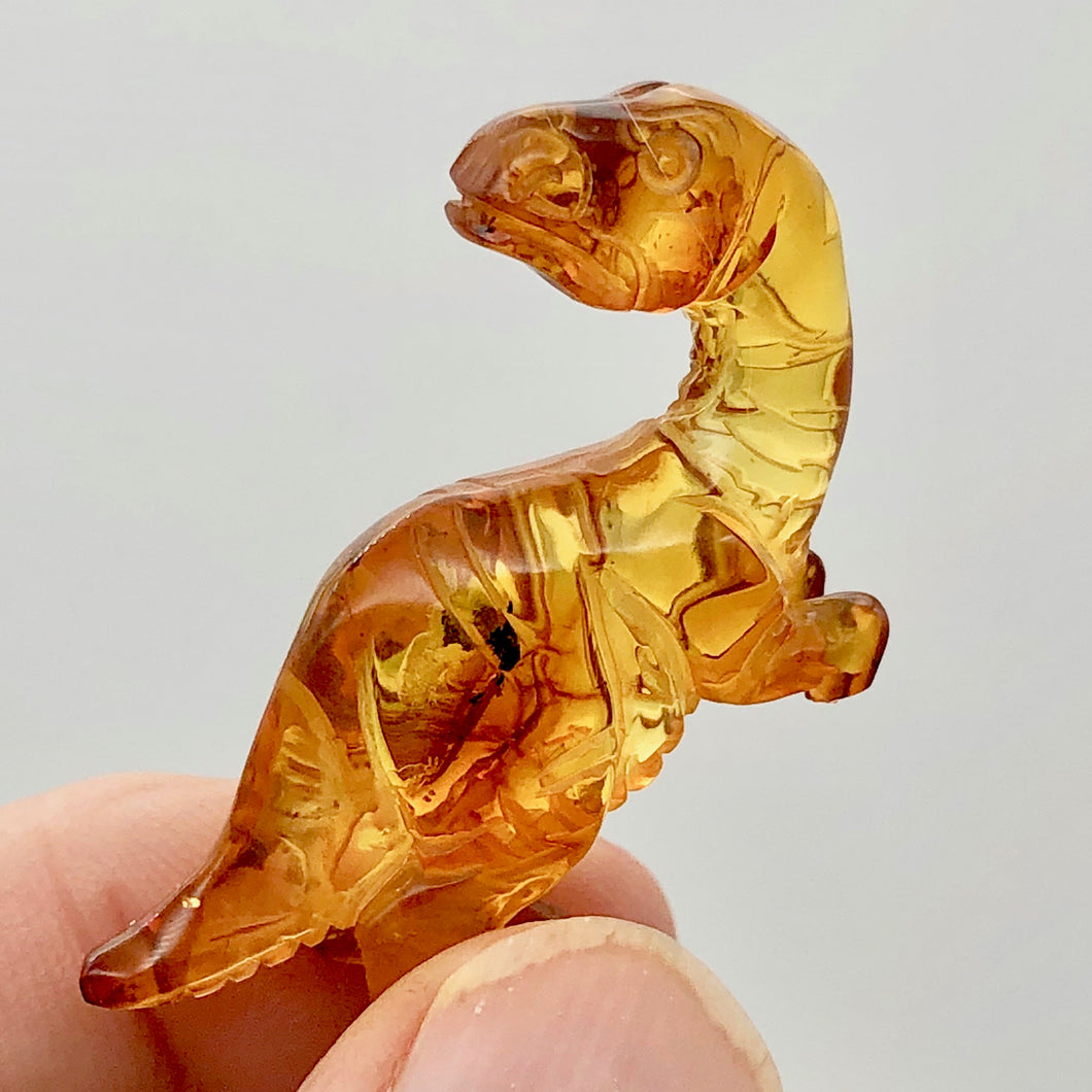 Amber Tyranosaurus Rex | 39x22x12 | Amber | 1 Figurine