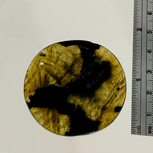 Labradorite Disc Pendant Bead | 45x5mm | Green Black | 1 Bead