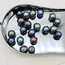 Load image into Gallery viewer, Perfect Peacock Oval FW Pearls | 6.5x5.5-6x5mm | Peacock | Oval | 20 pearls | - PremiumBead Alternate Image 2
