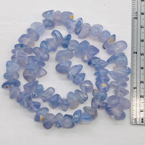 Oregon Holly Blue Chalcedony Agate 71 Grams Nugget| 10X9X5 15X9X8 |Blue|69 Bead|