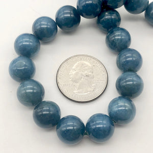 Rare Vivid Blue Cat's Eye Apatite Round Gemstone Bead Strand | 12mm | 33 Beads |