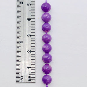 Phosphosiderite Parcel Round | 6 mm | Lavender | 8 Beads |