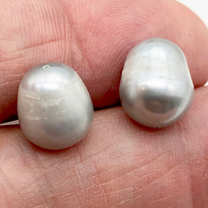 2 Hot 12-13mm Platinum Freshwater Pearls for Jewelry Making - PremiumBead Alternate Image 4