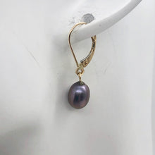 Load image into Gallery viewer, Rainbow Lavender Freshwater Pearl and 14K Drop Lever Back Earrings | 1 inch | - PremiumBead Alternate Image 5

