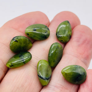 7 Beads of Premium Briolette Nephrite Jade Beads 10264P