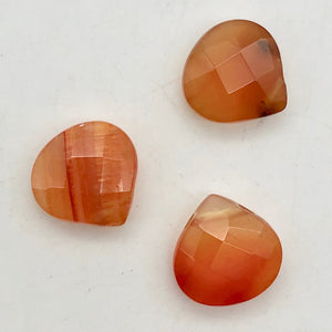 Sparkling! 3 Carnelian Agate Briolette 13x13x6mm Beads - PremiumBead Primary Image 1