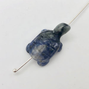 Adorable Sodalite Carved Turtle Figurine/Worry Stone | 20x12.5x8mm | Blue White - PremiumBead Alternate Image 4