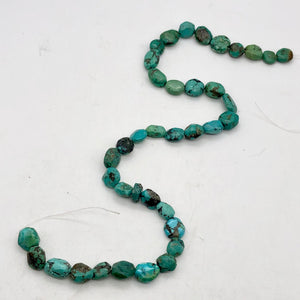 160cts 16" Natural USA Turquoise Pebble Beads Strand 106696H - PremiumBead Alternate Image 6