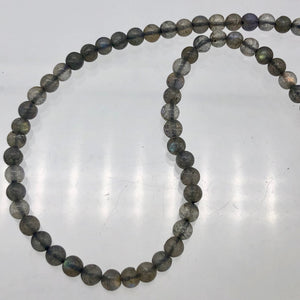 Hot!! 29 Fiery Labradorite 4.5mm Round Beads - PremiumBead Alternate Image 5
