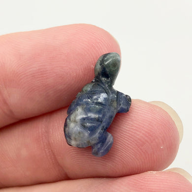 Adorable Sodalite Carved Turtle Figurine/Worry Stone | 20x12.5x8mm | Blue White - PremiumBead Primary Image 1