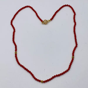 AAA Natural Ox Blood Red Coral & 14K Gold 18 inch Necklace 202904