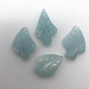 Natural Aquamarine Leaf Strand | 17x12x3 to 22x12x5mm | Blue | Leaf | 33 beads | - PremiumBead Alternate Image 7