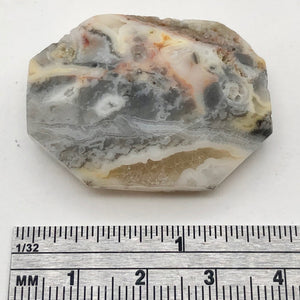 Crazy Lace Agate Carved Pendant Bead | 36x28x9mm | Gray White Orange |