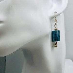 Stunning AAA Blue Kyanite Sterling Silver Earrings | 1 1/2" Long | Blue |