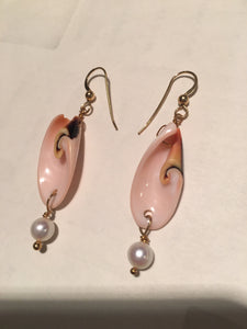 Divine Spiral Shell and FW Pearl 14Kgf Earrings 308932 - PremiumBead Alternate Image 2