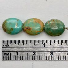 Load image into Gallery viewer, 3 Natural Turquoise 12x10mm Oval Beads 2175
