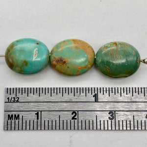 3 Natural Turquoise 12x10mm Oval Beads 2175