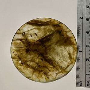 Labradorite Disc Pendant Bead | 45x5mm | Green Black | 1 Bead |