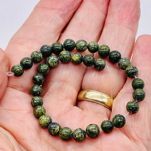 33 Reptile Russian Jasper 6mm Round Beads 009166