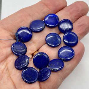 Exquisite Natural Lapis 16mm Coin Bead 8 inch Strand 9345HS