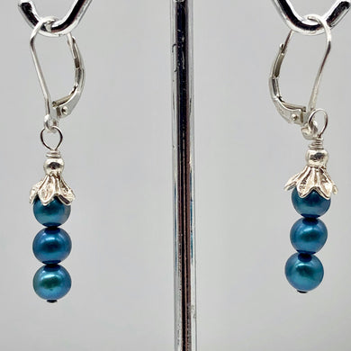 Shining Teal Fresh Water Pearl Sterling Silver Lever Back Earrings | 1/2