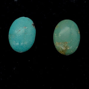 1 Natural Turquoise 16x12mm Oval Pendant Bead 4525